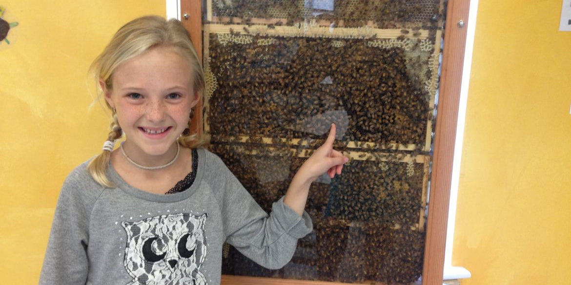 Giving Back: Spotlight on The Bee Cause Project