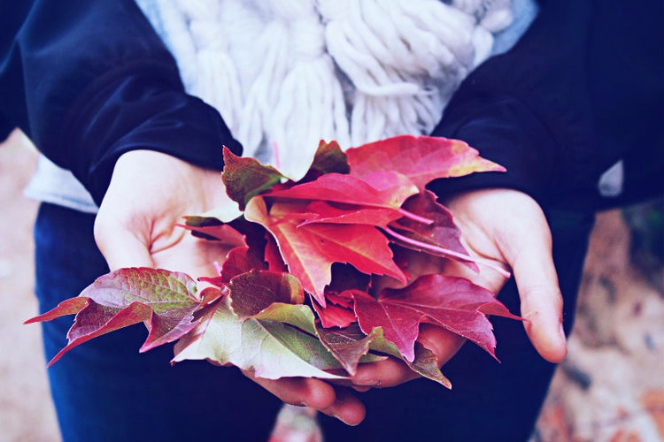 20 Things We Love About Fall