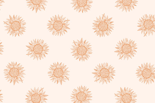 Download Rose Gold Spirit Desert, Our Print of the Month