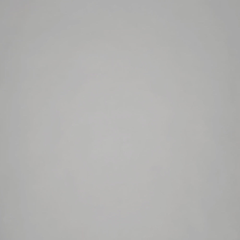 The Sak Los Feliz Hobo - Leather - Mahogany Suede